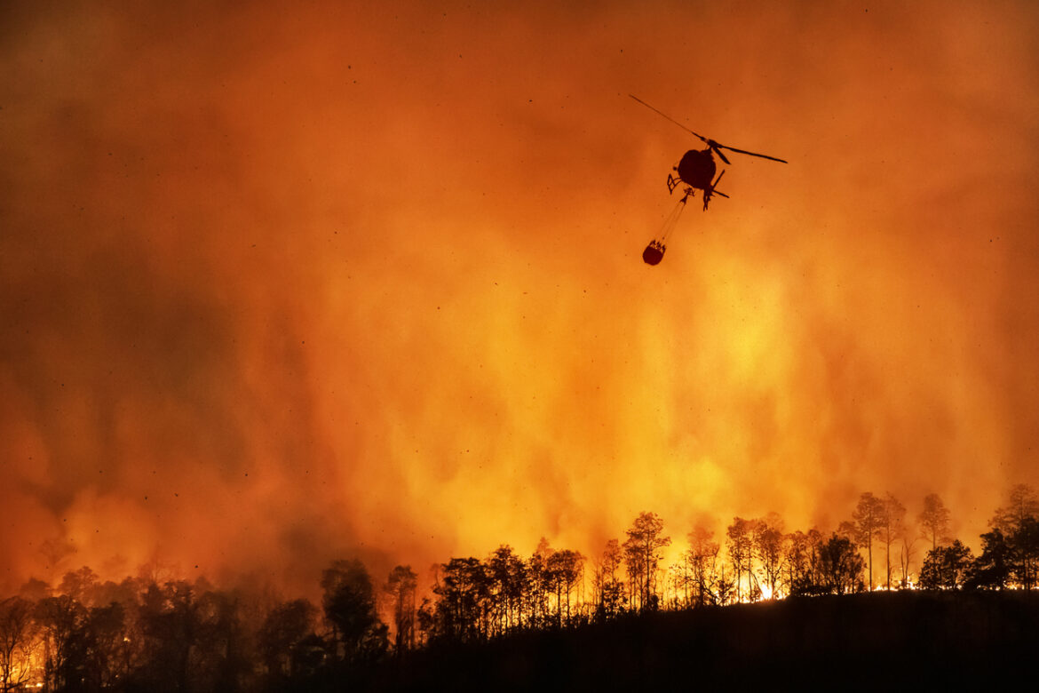 Bezdzietność w czasach alarmu klimatycznego. Czy posiadanie dziecka jest nieekologiczne?